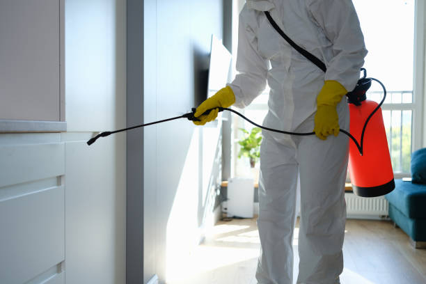 Best Attic Mold Removal  in Chigan Center, MI