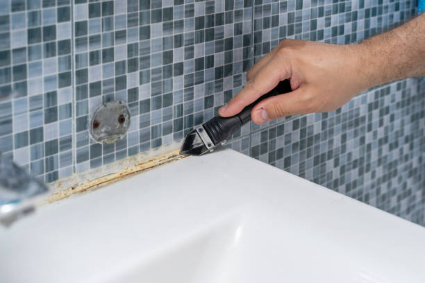 Best Commercial Mold Removal  in Chigan Center, MI