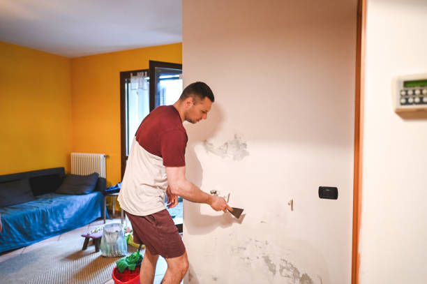 Best Mold Remediation  in Chigan Center, MI